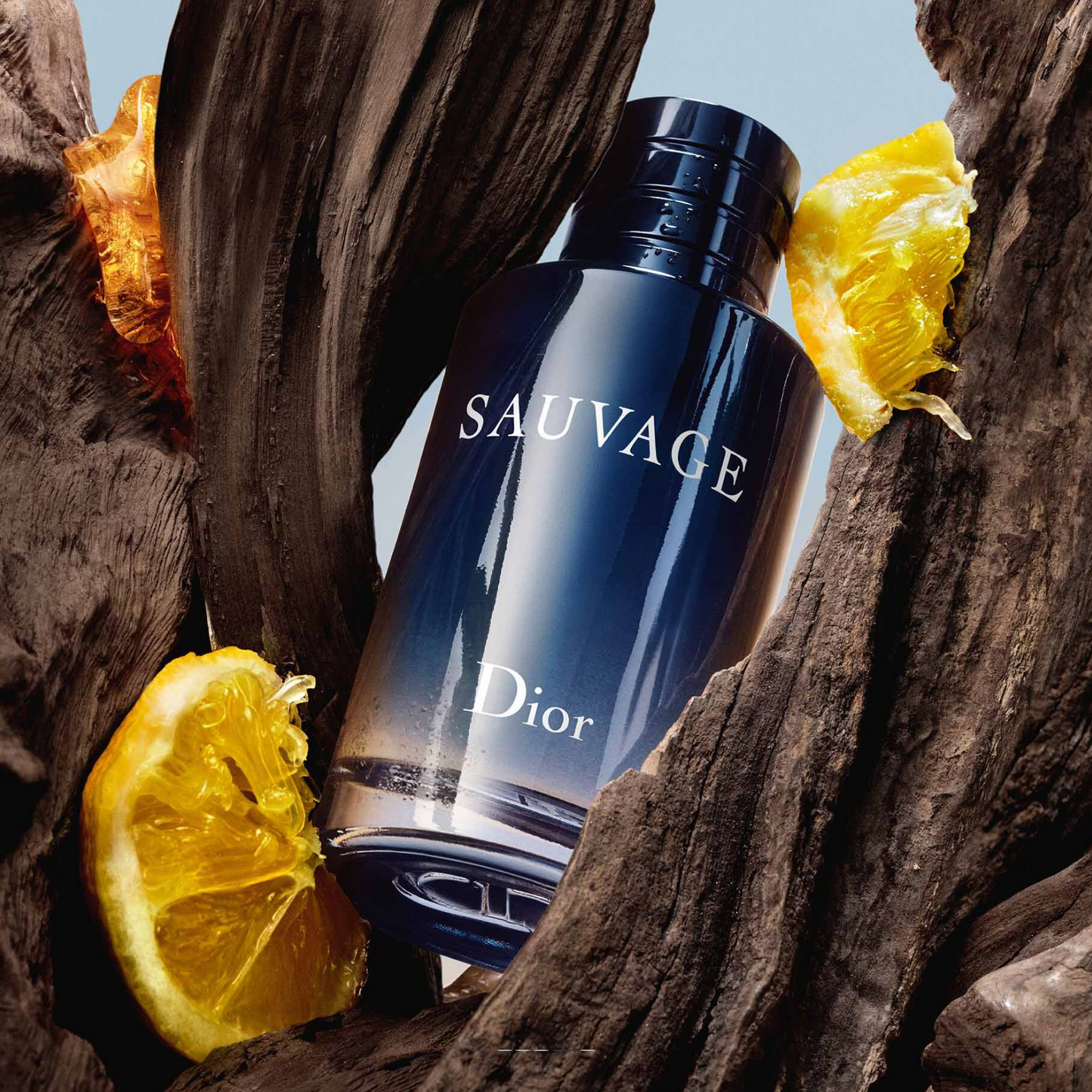 Sauvage EDT - Dior