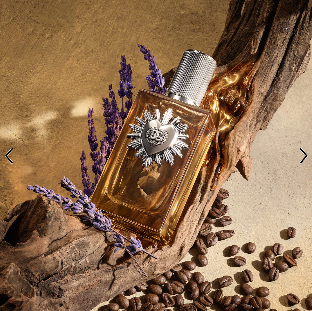 Devotion Pour Homme Parfum - Dolce&Gabbana